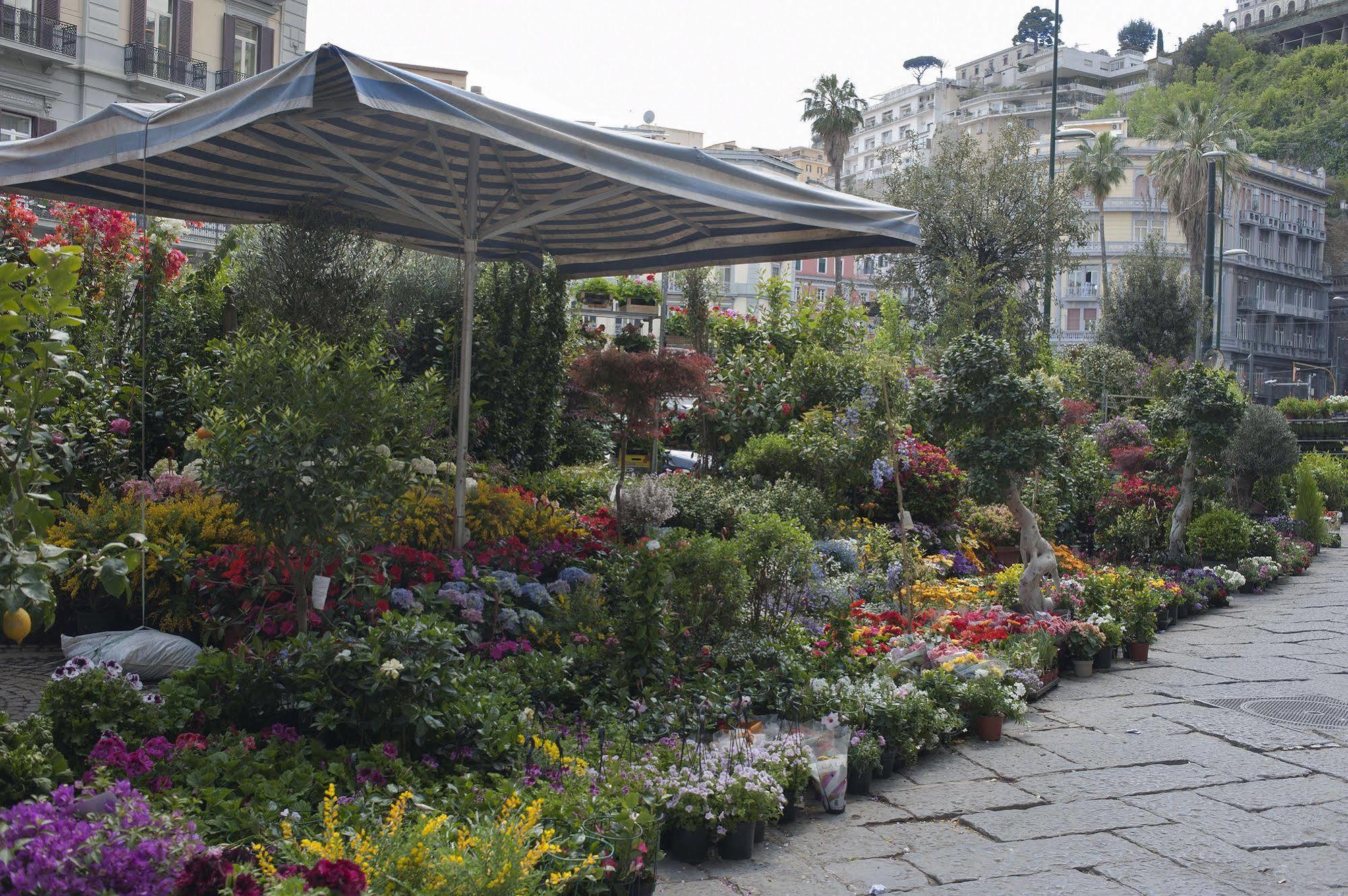 Bed & Breakfast Areamare Napoli